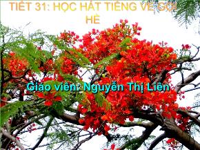 Học hát Tiếng ve gọi hè - Nguyễn Thị Liên