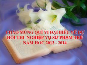 Bài 20: Hiến pháp nước CHXHCN Việt Nam (Tiếp theo) - Hồ Đình Ngũ
