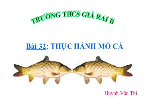 Bài 32: Thực hành mổ cá - Huỳnh Văn Thi