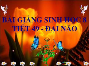 Tiết 49, Bài 47: Đại não - Nguyễn Thị Minh Phượng